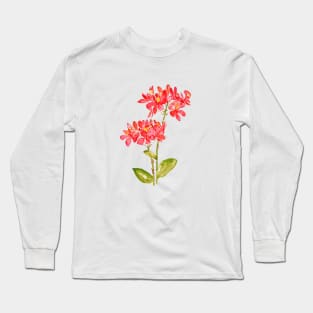 epidendrum radicans orange groud orchid Long Sleeve T-Shirt